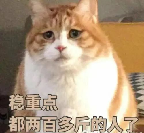 猫咪表情包,好可爱,我心都要化了