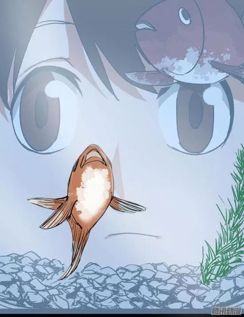 漫画金鱼男孩