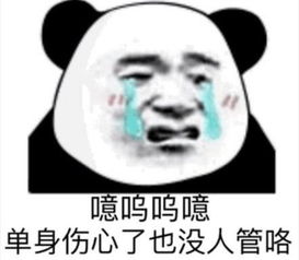 熊猫头搞笑专用表情怎么都没人喜欢我的