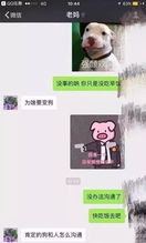 哈哈,盘点爸妈的那些沙雕神回复,笑断头