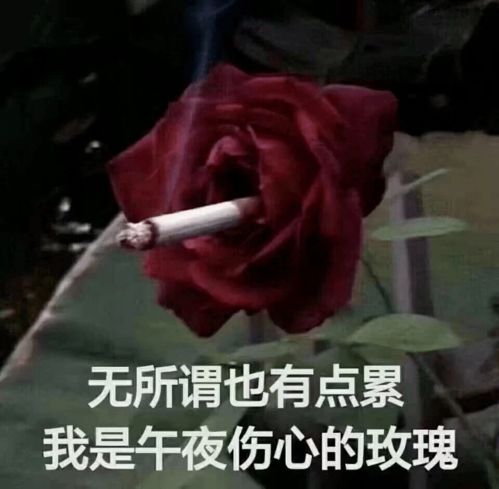 假胸假腰假屁股...还有什么是真的网友再也不相信女人了