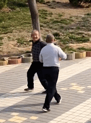 搞笑图片gif只要我够沙雕,悲伤就追不上我
