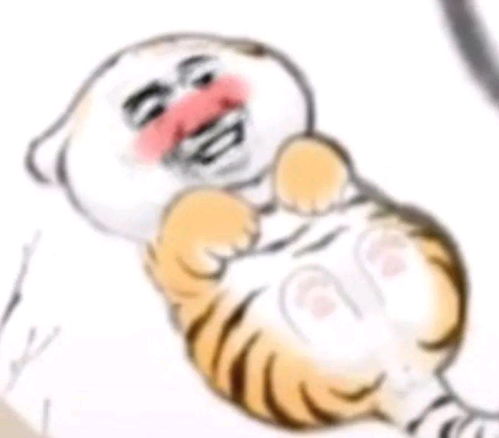 搞笑图片沙雕图片表情包两只老虎