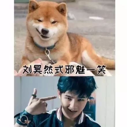 何炅式心塞马龙式傻笑林俊杰酒窝看谁还敢拿明星撞脸表情包斗图