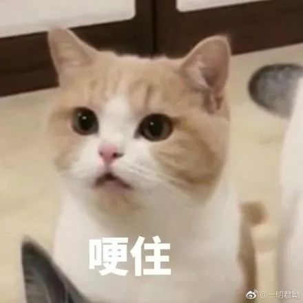 为什么女人整形花样多,男人整形却只有两个方向