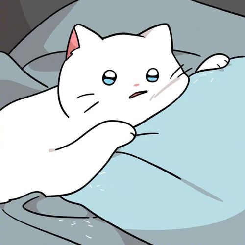 猫猫头像萌宠漫画猫