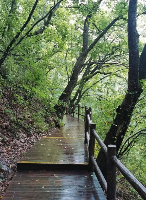 河南冷门山水景区空气好到没得挑,瀑布溪流常相伴