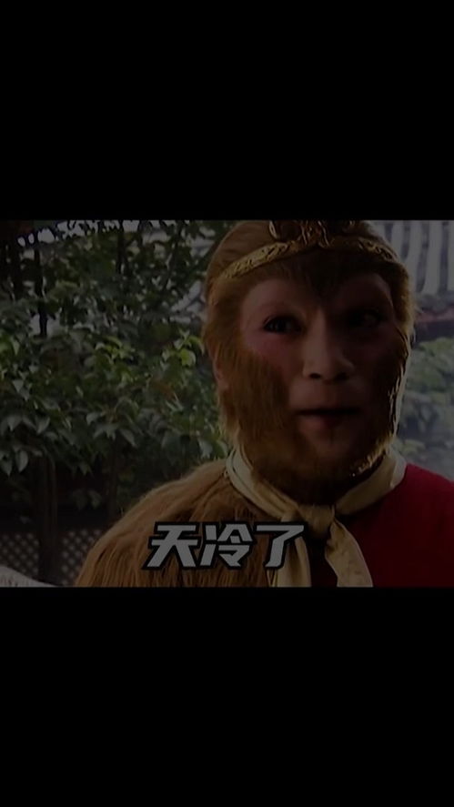 取图主页,天冷了...表情包搞笑视频经典段子情侣夫妻搞笑聊天记录西游记