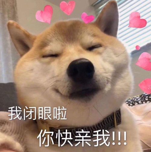 养狗有哪些好处据说这几点是有科学依据的