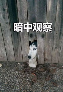 明星化妆品曝光看看明星们都在用什么化妆品
