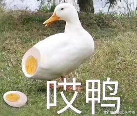 教他偷车也算是手艺每日轻松一刻11月23日晚间版