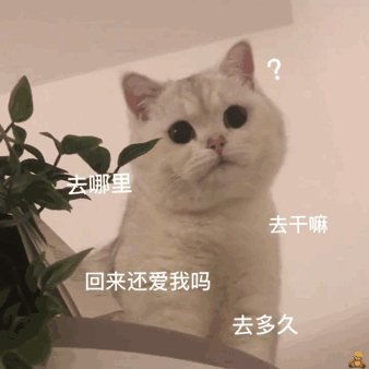 裂开的表情包被缝上了