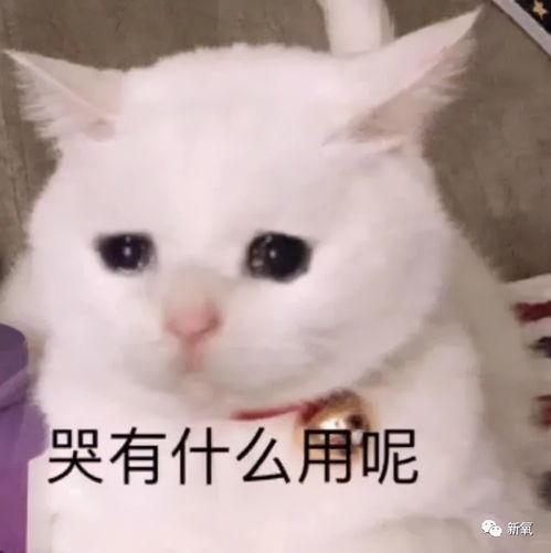 电影中的氛围感渲染有多绝