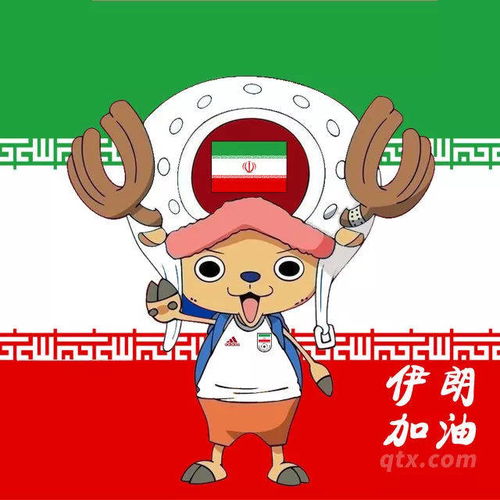 值得拥有,乔巴世界杯32强头像四