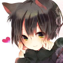 猫眸是什么样子的