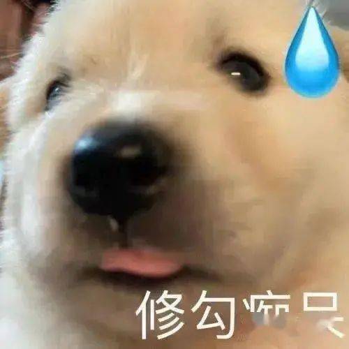 十条段子我故意踩你脚,看见出门秀恩爱的就生气