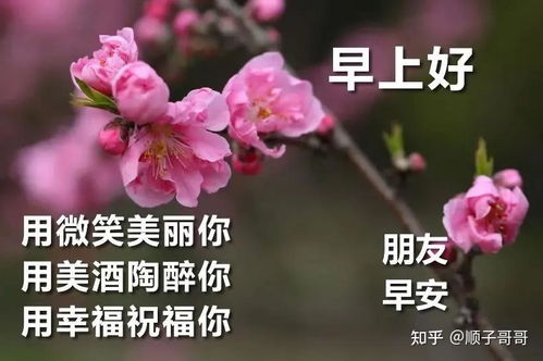 早上好表情包搞笑问候语