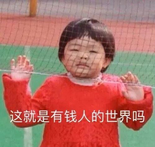 表情包你就不知道哄哄我啊