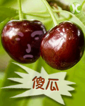 傻瓜搞笑植物搞笑微信表情爱微帮