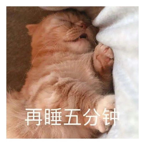 表情包一组有趣的表情包36期