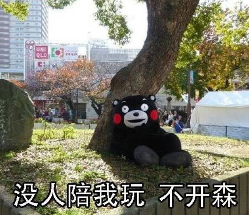 熊本熊搞笑萌呆表情包一句晚安,然后各自熬夜