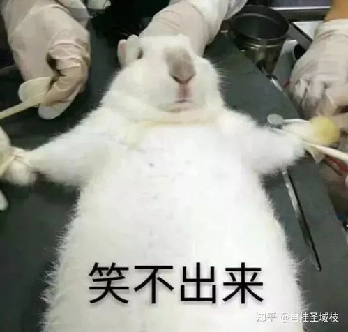军人和普通人有什么区别