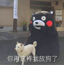 狗为什么爱主人专家因为它们都是受虐狂