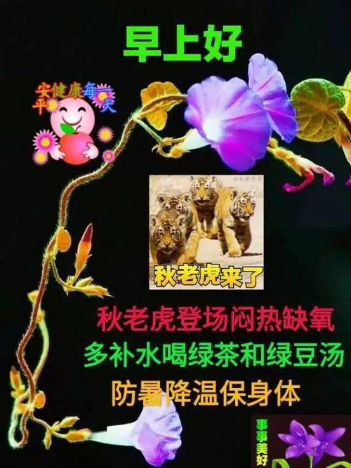 6张秋天非常有创意的秋老虎早上好图片表情带字秋天有趣的早安图片带字