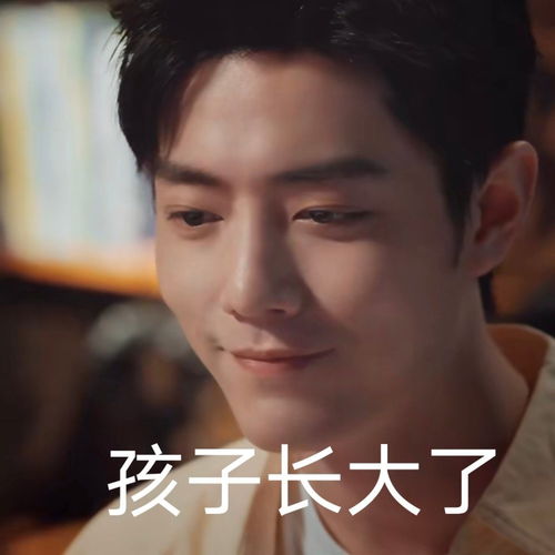 肖战表情包斗图吗来呀