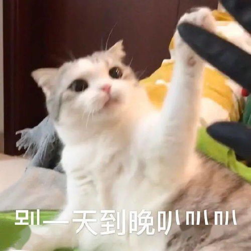 背书简直是遭罪众学简快1节课,教会你高效背诵技巧
