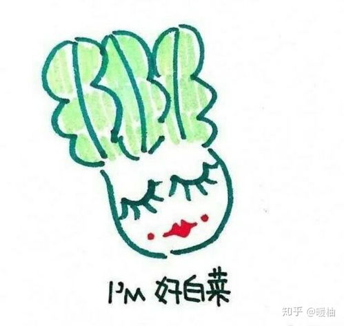 有没有情侣头像一人一猪,女生是猪的那种