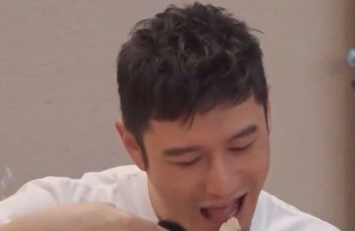 黄晓明听信苏有朋的话吃了臭芝士,被熏出表情包你有吃过没