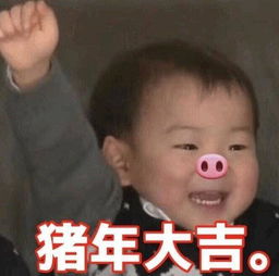 拜年表情包恭喜祝你新年快乐