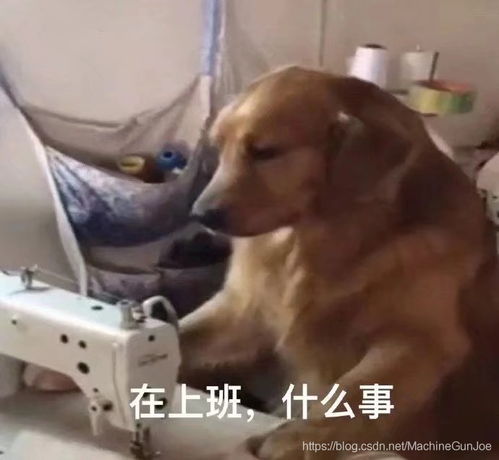 怎么准备安全面试最高效不看后悔系列