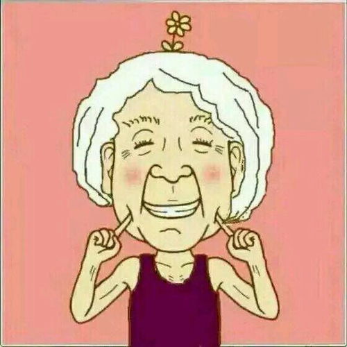 求这样的老人情侣头像