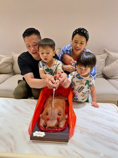 胡杏儿三胎儿子满月,首晒全家福,一家五口表情亮了