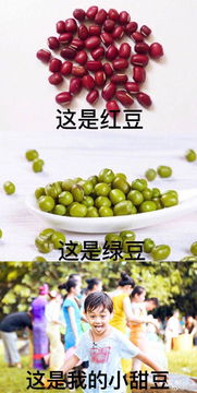 组图刘烨感谢粉丝制作表情包互动网友聊土味情话很搞笑