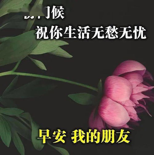 年轻不是你玩的理由,而是你奋斗的资本