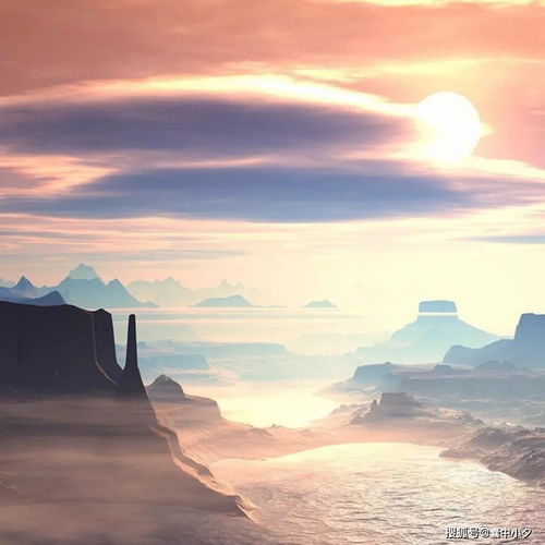 微信头像图片大全卡通萌宠个性搞怪风景,精挑细选一千张高清头像