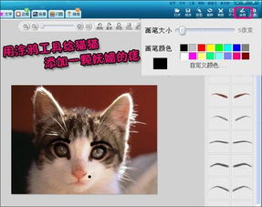 美图秀秀教你打造属于你的甜甜私房猫