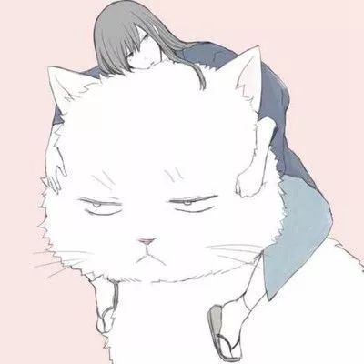 那些消失在朋友圈的中年女人