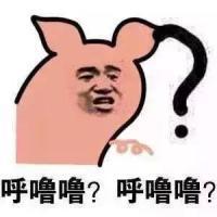 喵喵喵张学友表情包