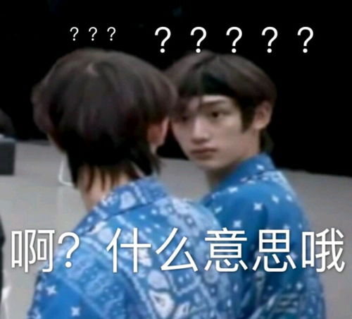 tnt全员沙雕表情包合集