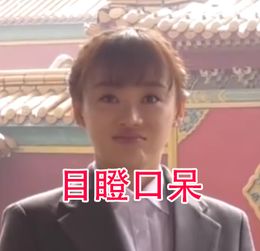 手机里袁姗姗表情包