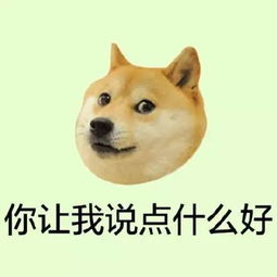 够凶猛就因为这样一件小事,福州女子在公交上被两妇女拳打脚踢,下车还被追着打