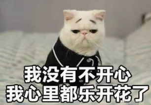 爽2018年专属南通人最全放假安排这样调休最划算