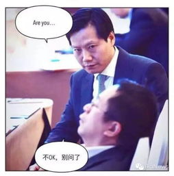 雷军仇视周鸿祎爆笑图片看个够组图