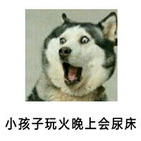 哈士奇惊讶的表情图片搞笑表情包盘点被别人从小骗到大的话