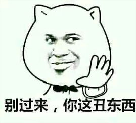 你走的表情包