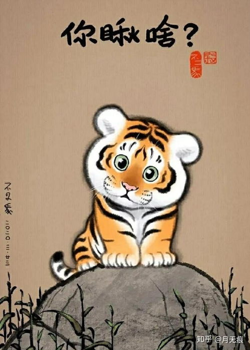 所谓的萌虎,嗷呜嗷呜